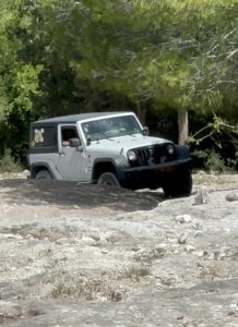 בחורשן לשאוף אוויר